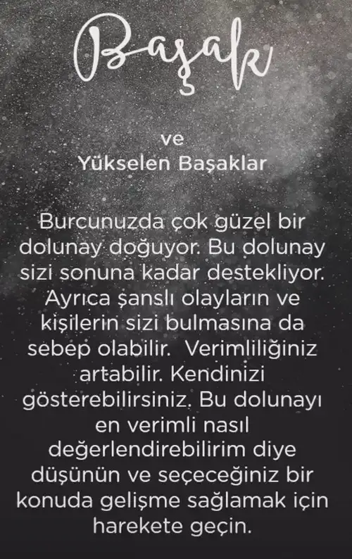başak37 (7).webp