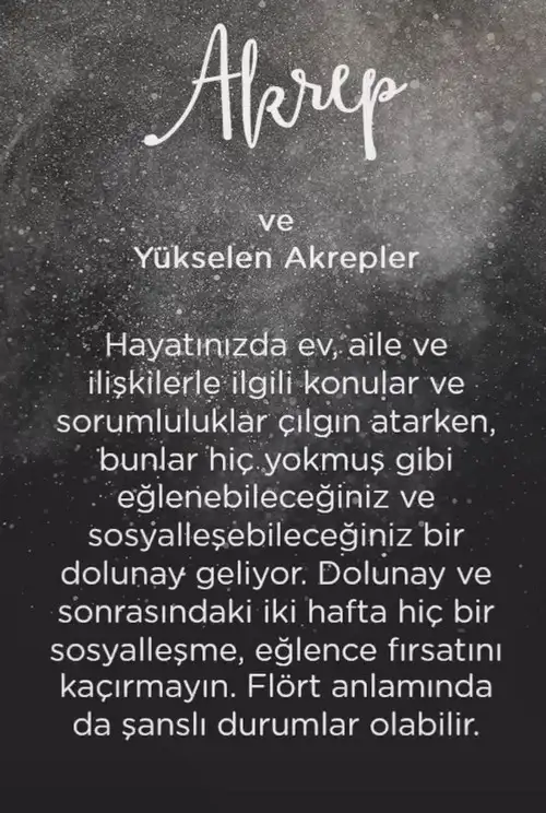 başak37 (9).webp
