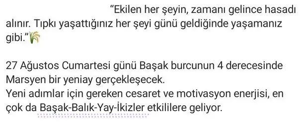 başak3a.webp