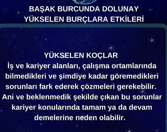 başak4 (1).webp