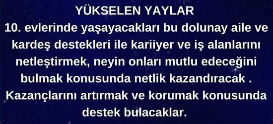 başak4 (10).webp