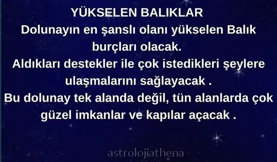 başak4 (13).webp