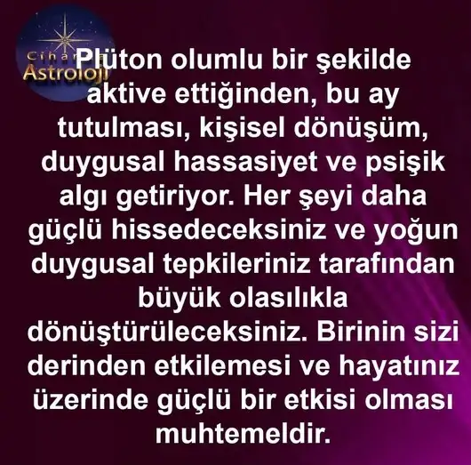 başak4 (4).webp