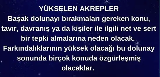 başak4 (8).webp