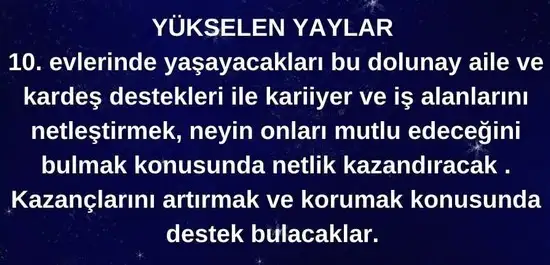 başak4 (9).webp