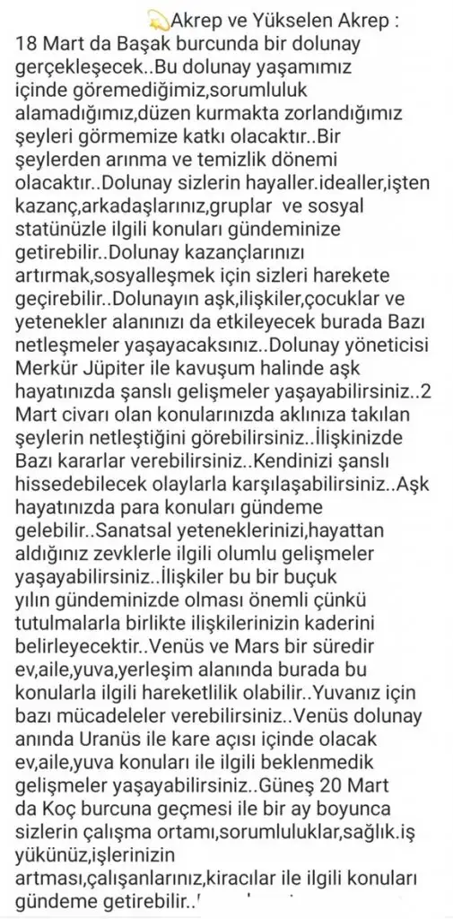 başak42 (12).webp
