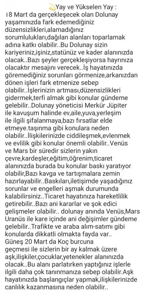 başak42 (13).webp