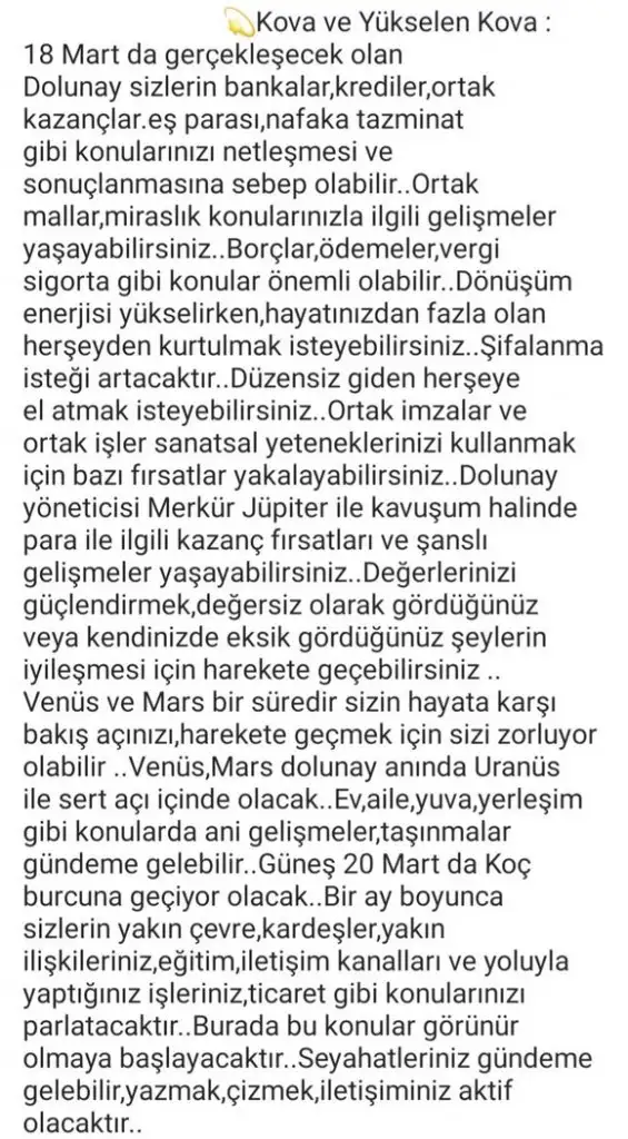 başak42 (15).webp