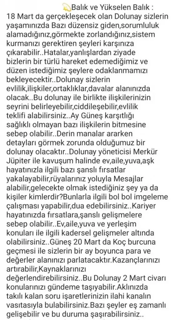başak42 (16).webp