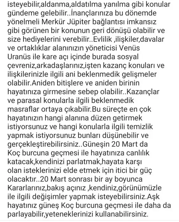 başak42 (3).webp