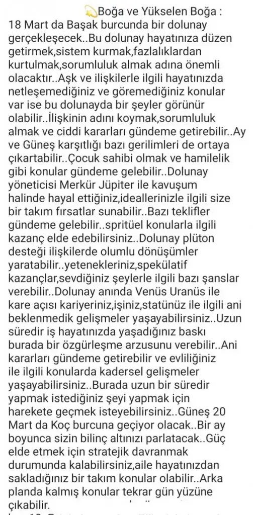 başak42 (4).webp