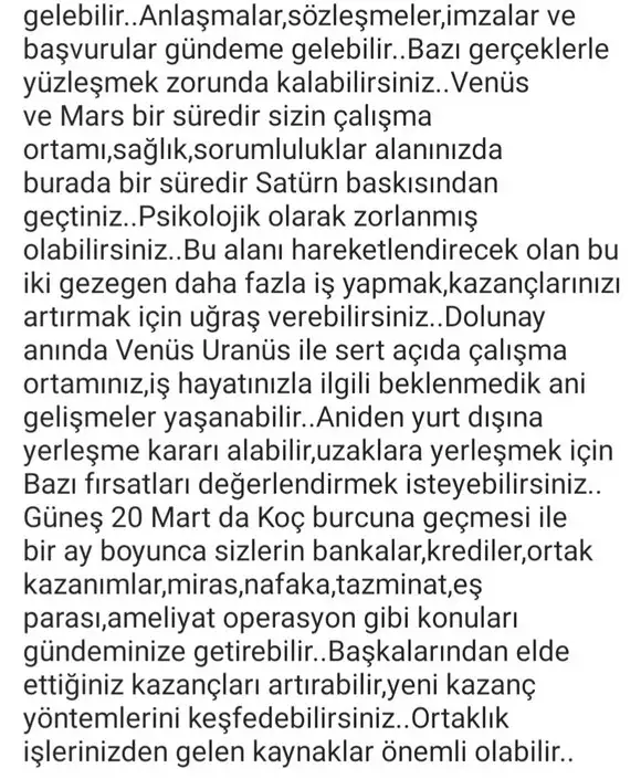 başak42 (9).webp
