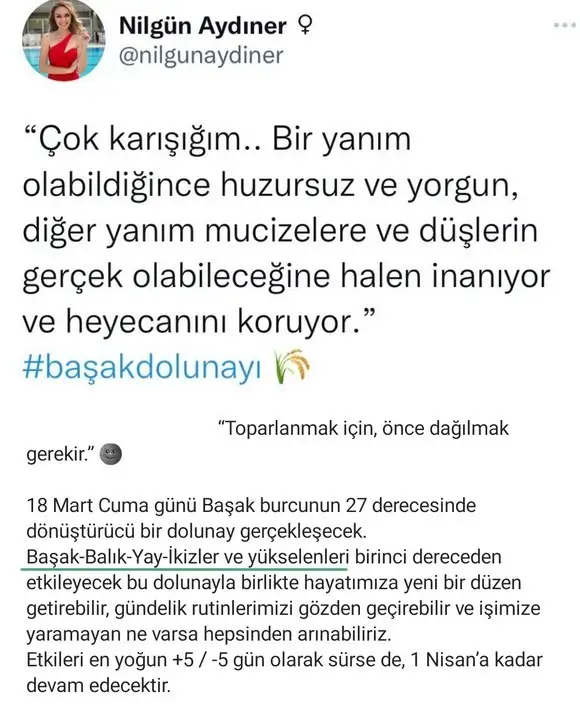 başak43 (1).webp