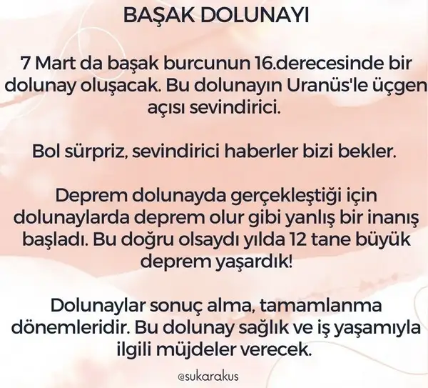 başak43.webp