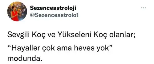 başak44 (1).webp