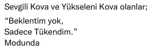 başak44 (11).webp