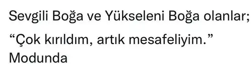 başak44 (2).webp