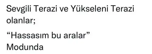 başak44 (7).webp