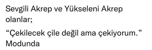 başak44 (8).webp
