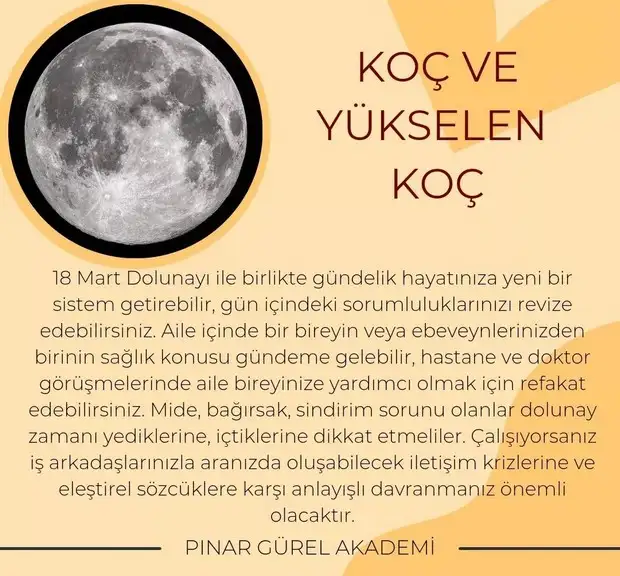 başak45 (2).webp