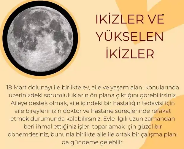 başak45 (4).webp