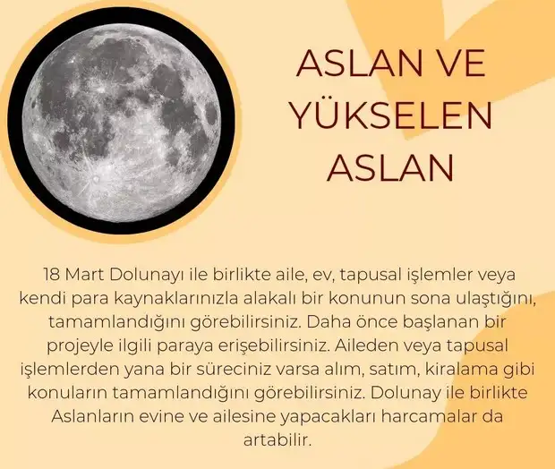 başak45 (6).webp