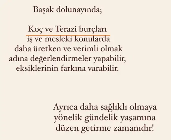başak46 (2).webp