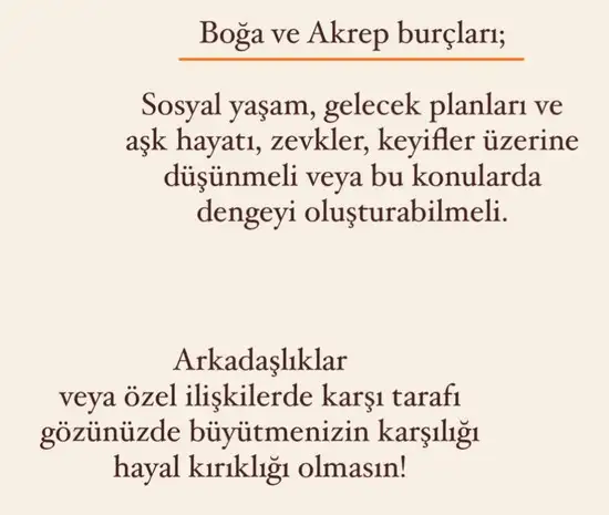 başak46 (3).webp
