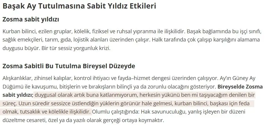 başak4b - Kopya.webp