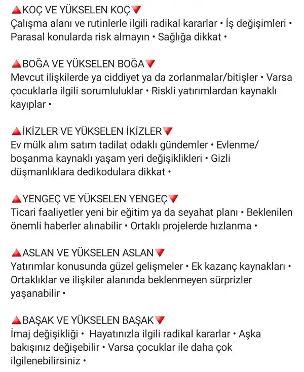 başak5 (2).webp