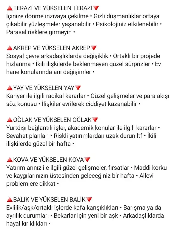 başak5 (3).webp