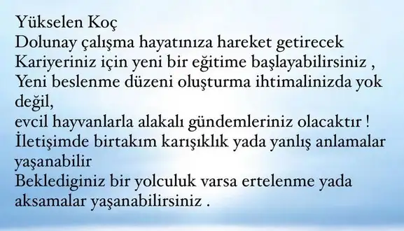 başak50 (2).webp