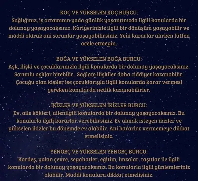 başak51 (2).webp