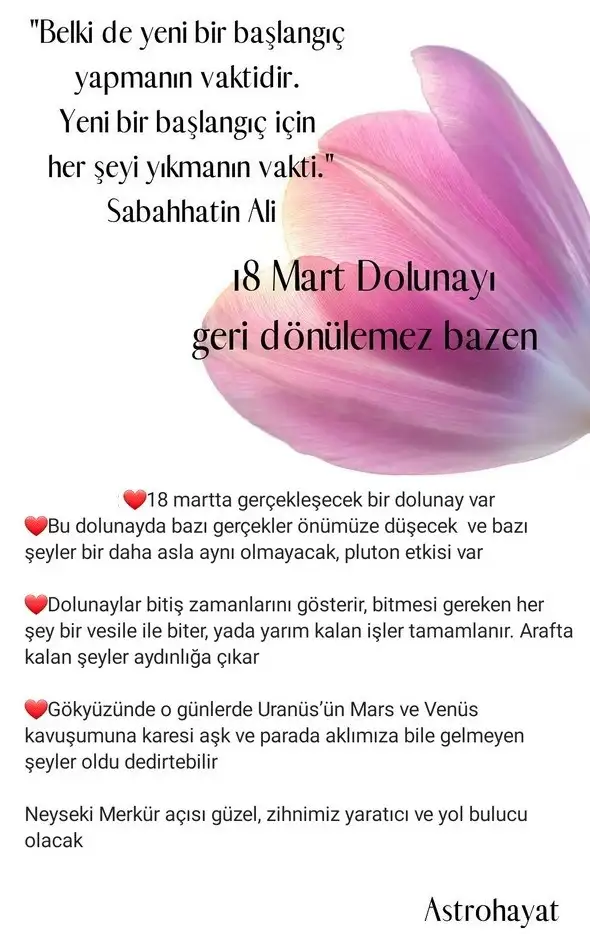 başak51.webp
