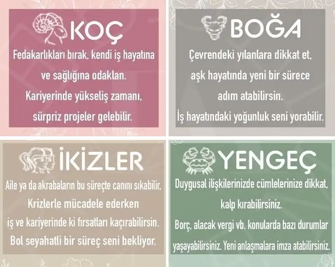 başak52 (2).webp