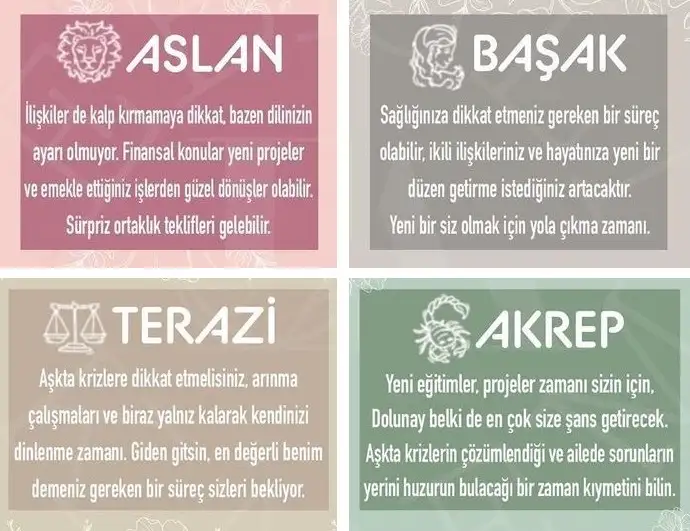 başak52 (3).webp