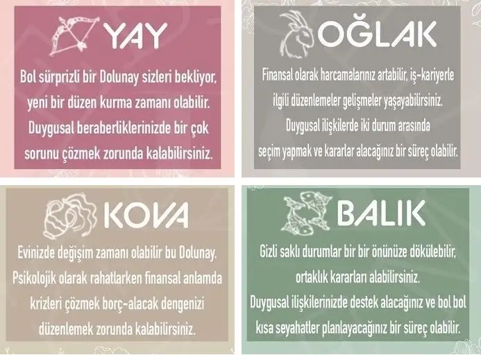 başak52 (4).webp