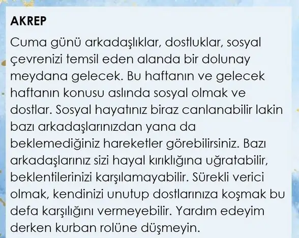 başak53 (9).webp