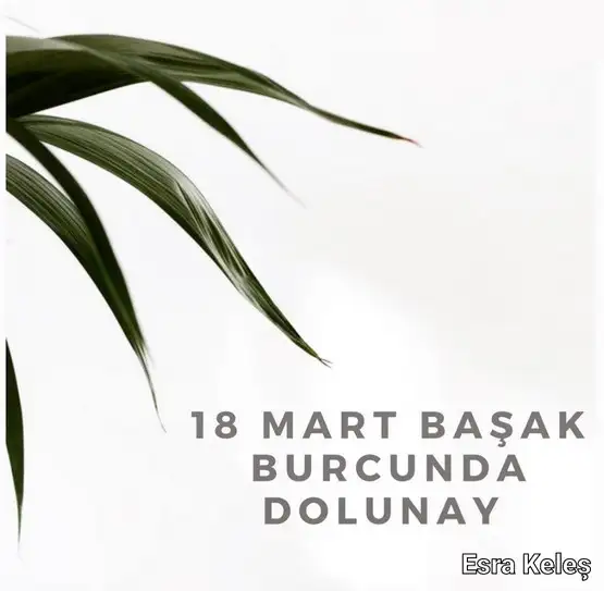 başak6 (1).webp