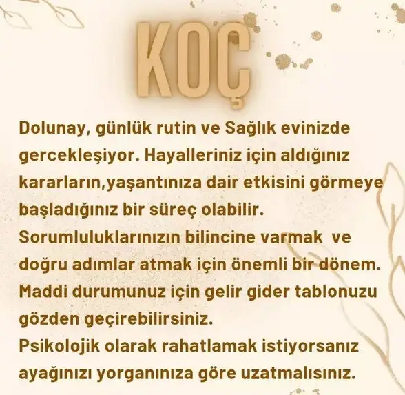 başak6 (1).webp