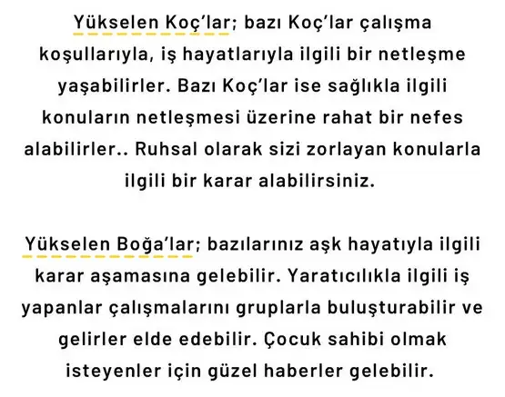 başak6 (2).webp