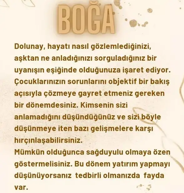 başak6 (2).webp