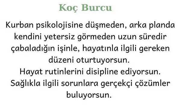 başak6 (2).webp