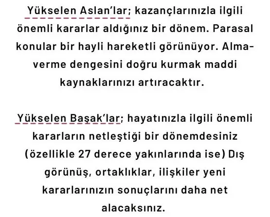 başak6 (4).webp