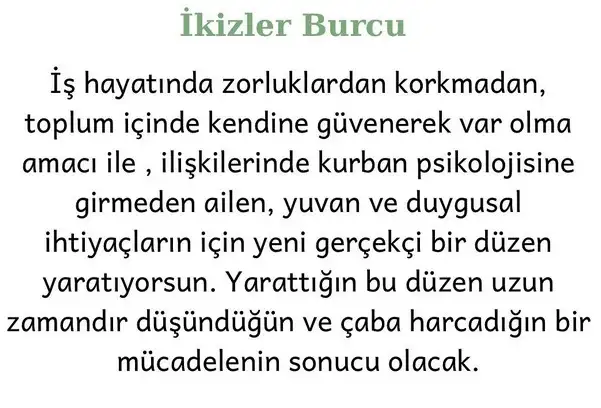 başak6 (4).webp