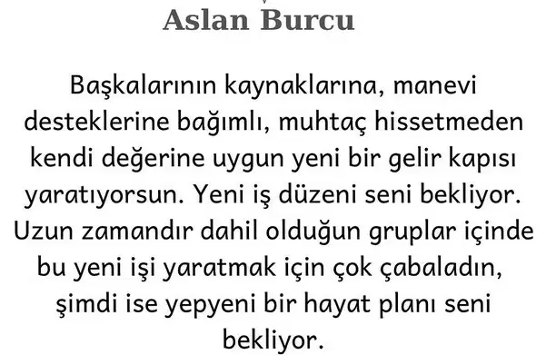 başak6 (6).webp