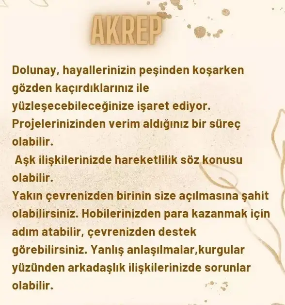 başak6 (8).webp