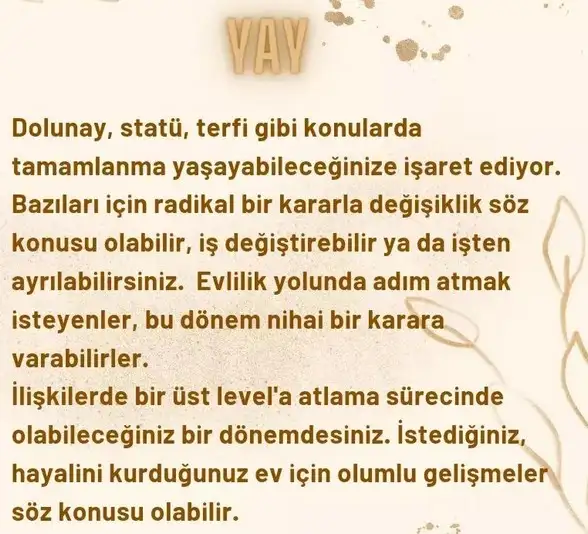 başak6 (9).webp