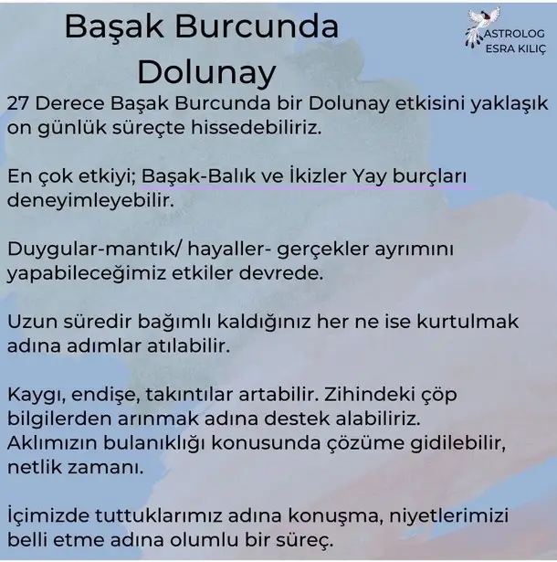 başak7 (1).webp