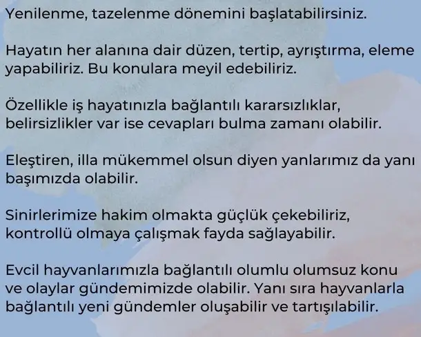 başak7 (2).webp